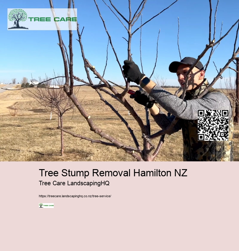 Tree Stump Removal Hamilton NZ