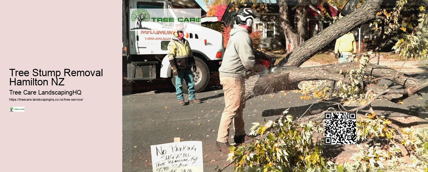 Queenstown Arborist