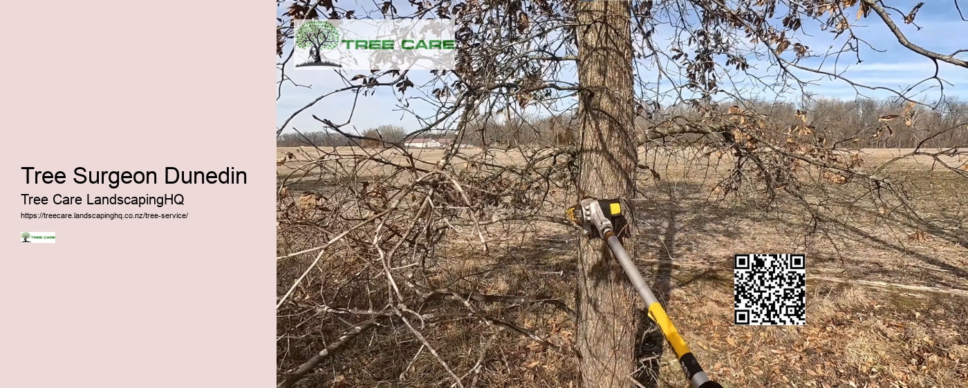 Arborist Tree Service Near Me