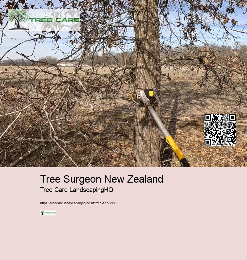 Tree Surgeon New Zealand