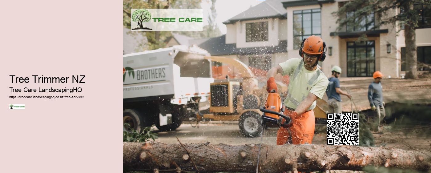 Arborist Whakatane