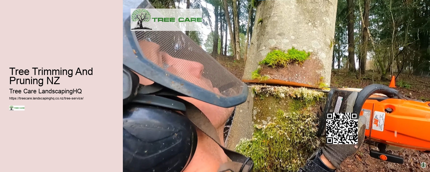 Wellington Arborist