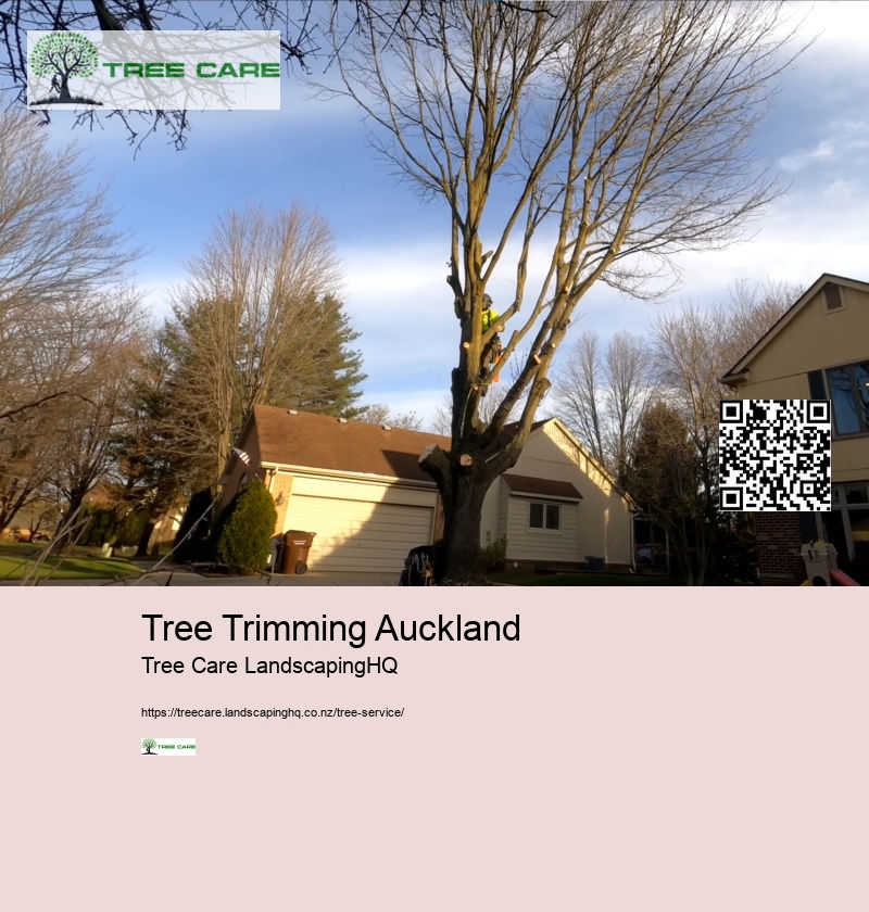 Tree Trimming Auckland