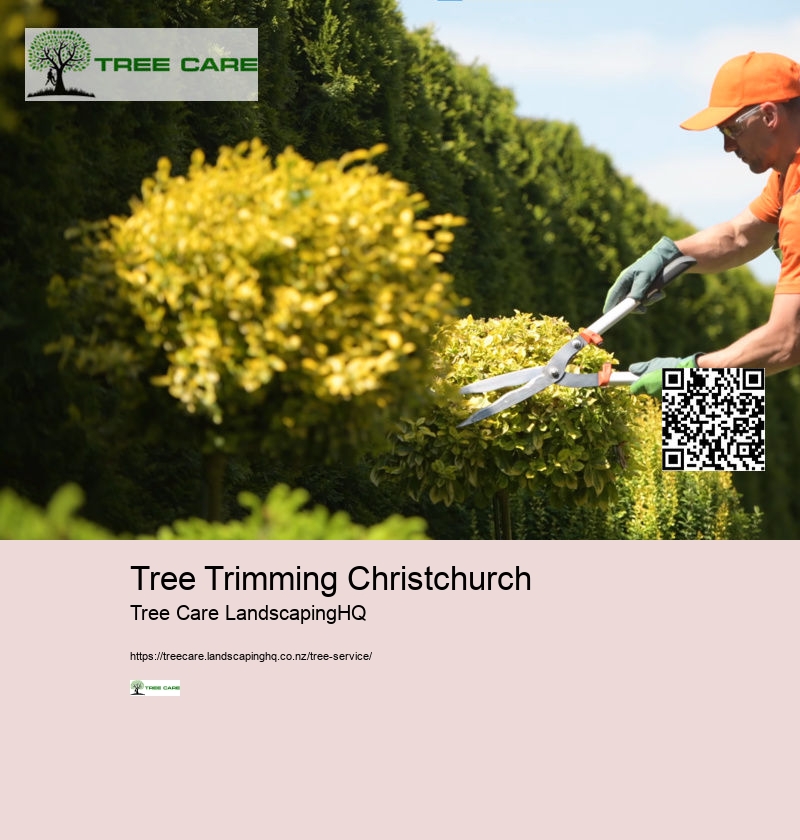 Tree Trimming Christchurch