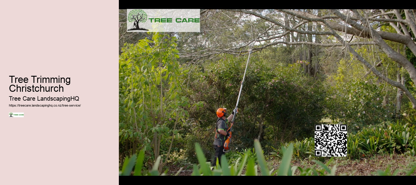 Consulting Arborist NZ