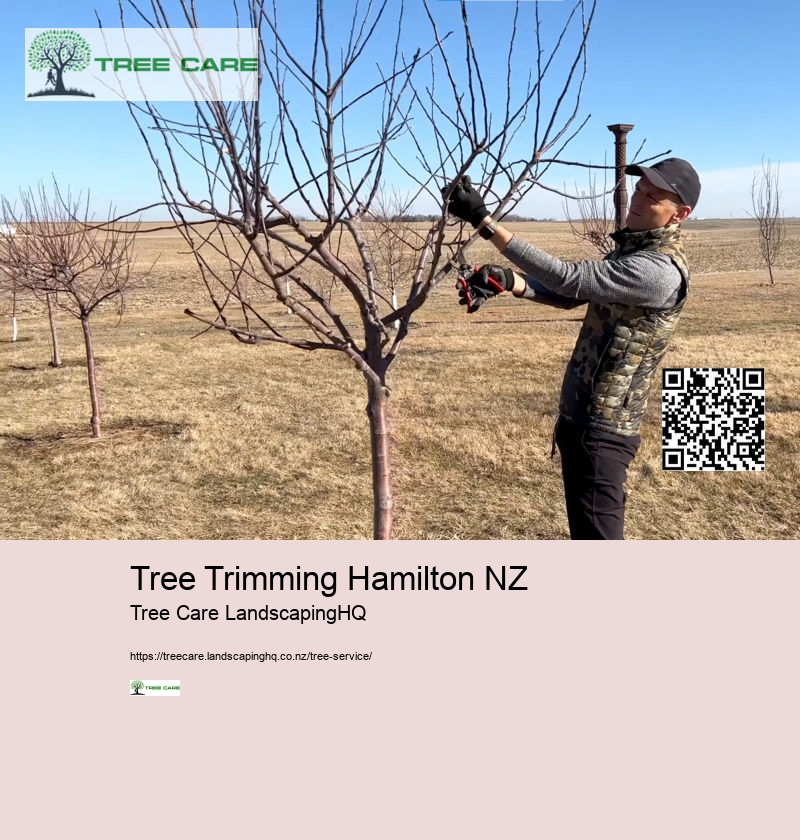 Tree Trimming Hamilton NZ