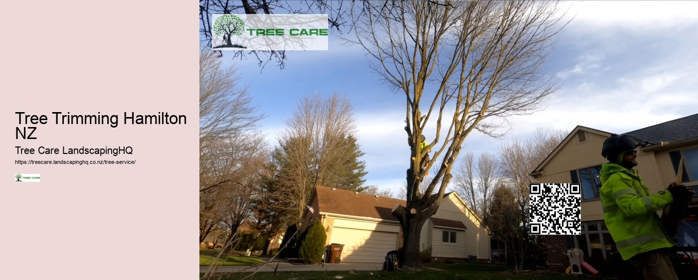 Tree Services Whakatane