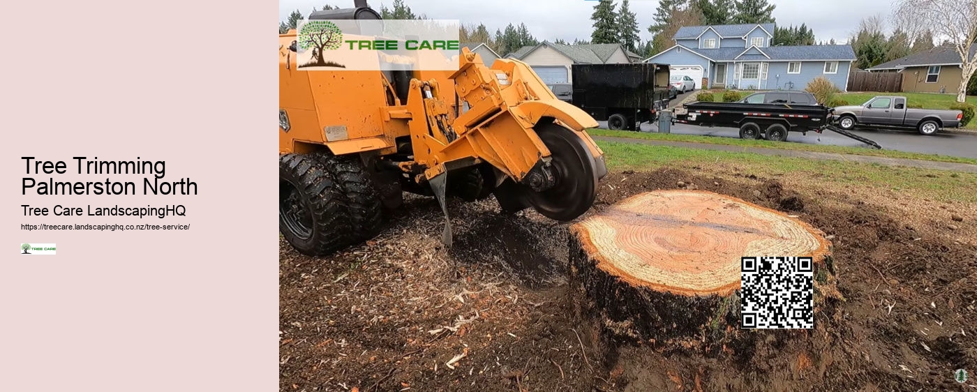 Tree Trimming Palmerston North