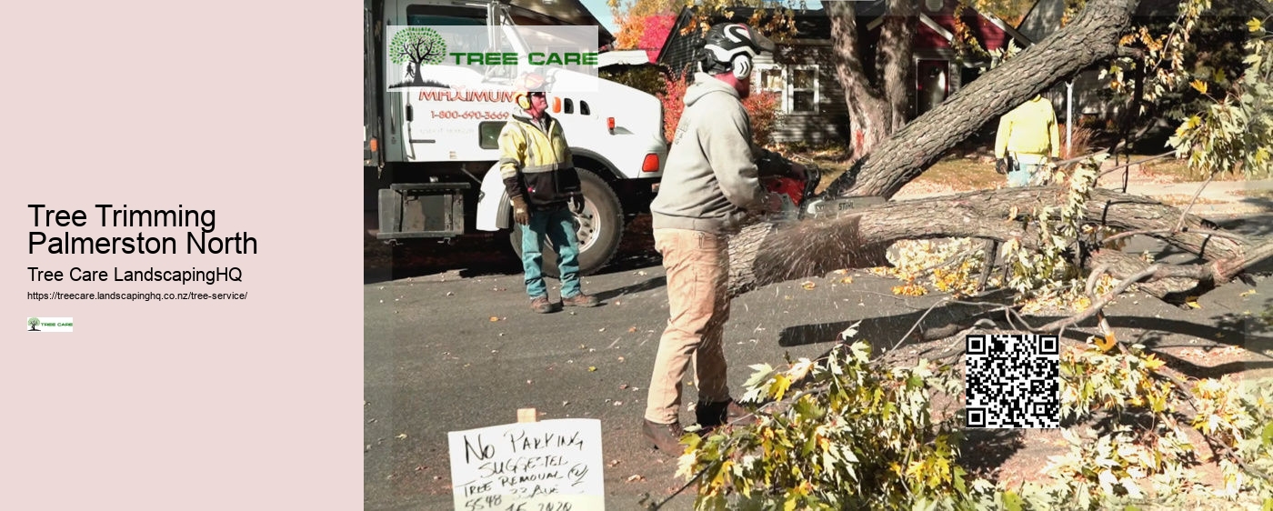 Tree Services Tauranga