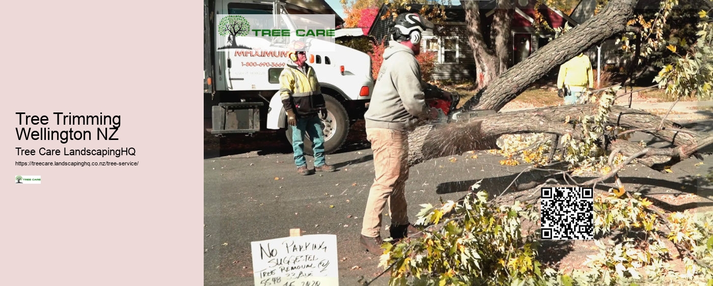 Tree Trimming Wellington NZ