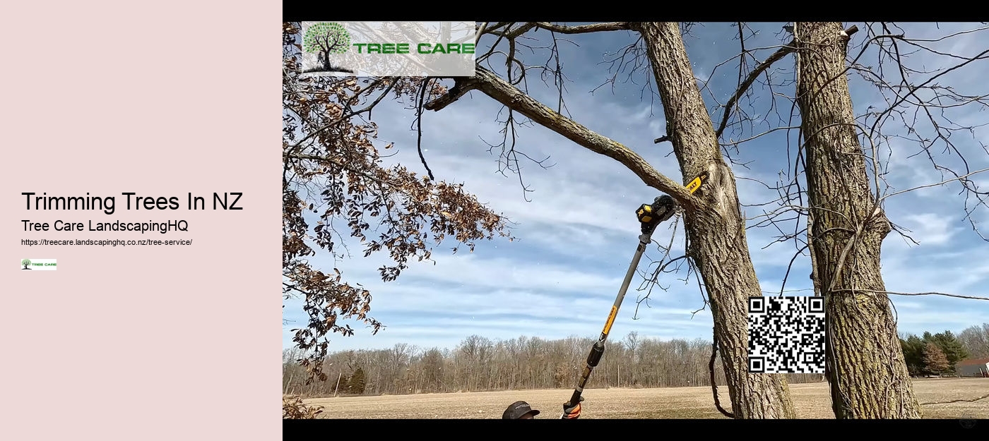 Trimming Trees In NZ